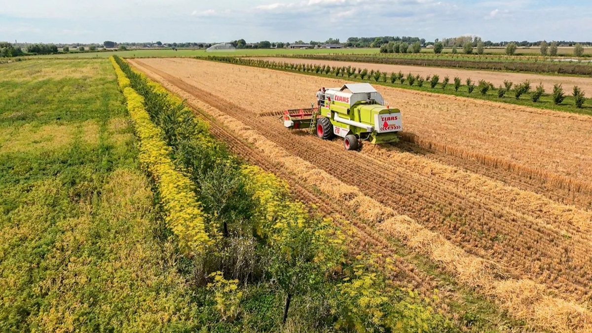 ¿Por qué los datos son clave para el futuro de la agricultura regenerativa.jpg